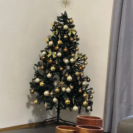 Lovingly & Comfortably Furnished Langenstein